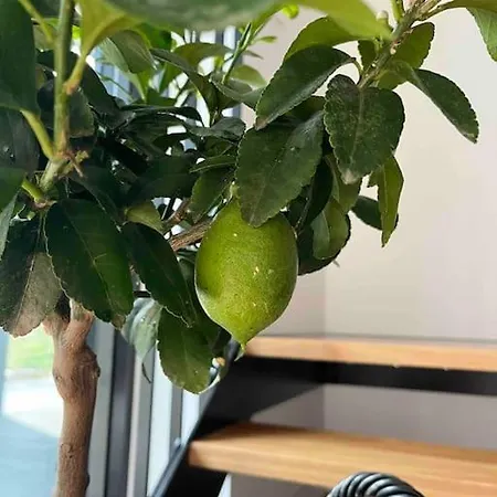 아파트 Chic Duplex Near Sea And Old Town In Aria 탈린