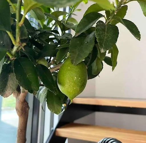 Apartament Chic Duplex Near Sea And Old Town In Aria Tallin